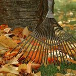 GrassNectar provides fall and spring clean up services - raking up leaves in the fall.