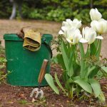 GrassNectar Lawn Care provides garden bed design services - flowers next to a bucket and garden gloves.