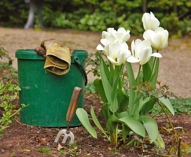 GrassNectar Lawn Care offers garden bed design - flowers and other garden tools in a garden bed.