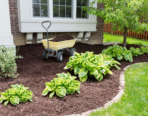 GrassNectar Lawn Care adding mulch to a landscape bed to keep weeds away and retain moisture.