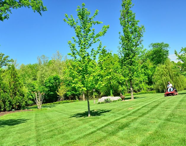 GrassNectar Lawn Care mowing a client's large lawn and creating lawn stripes.